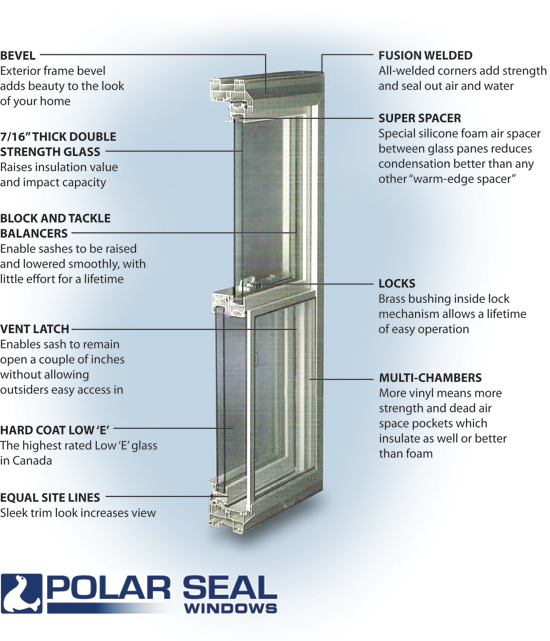 Window anatomy